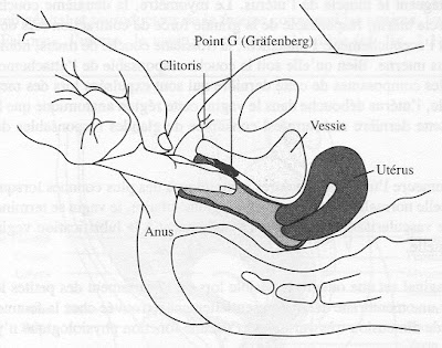 anatomie de lhomme film po rno anatomie de lhomme film po rno